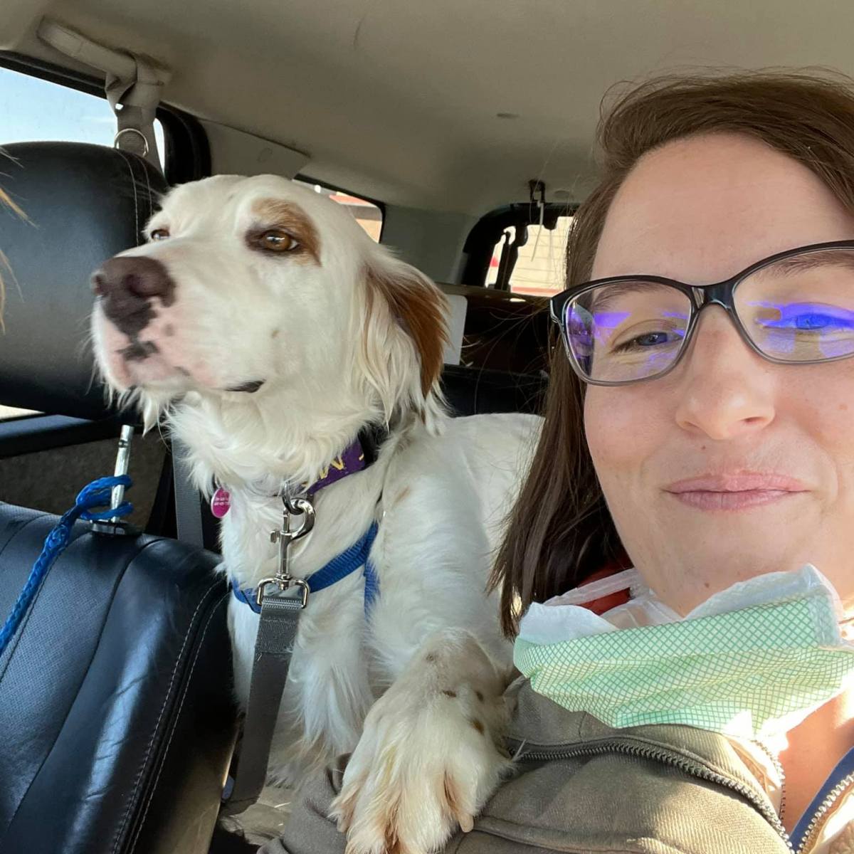 Volunteer Animal Transport